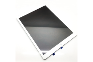 iPad Pro 12,9