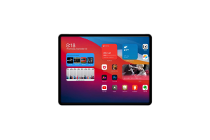 Surface Reparatur