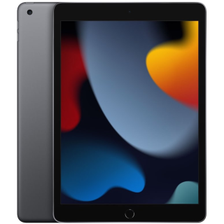 iPad 7 / 8