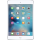 iPad Mini 4